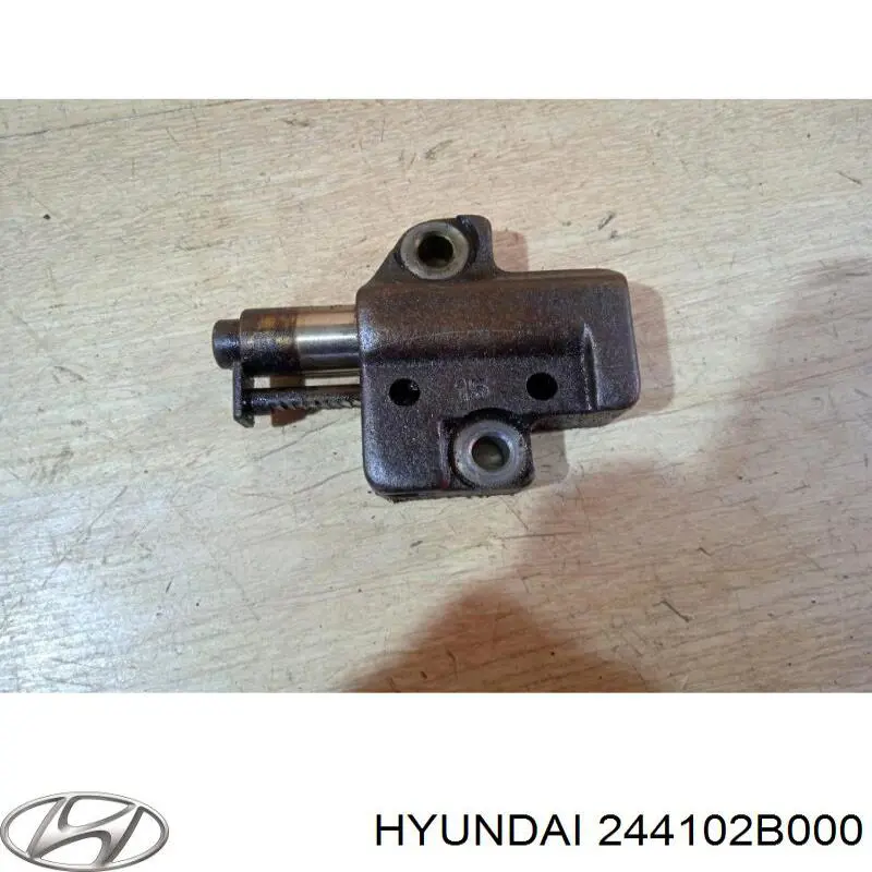 Tensor de cadena de distribución Hyundai/Kia 244102B000 precio, desde 29,53 EUR