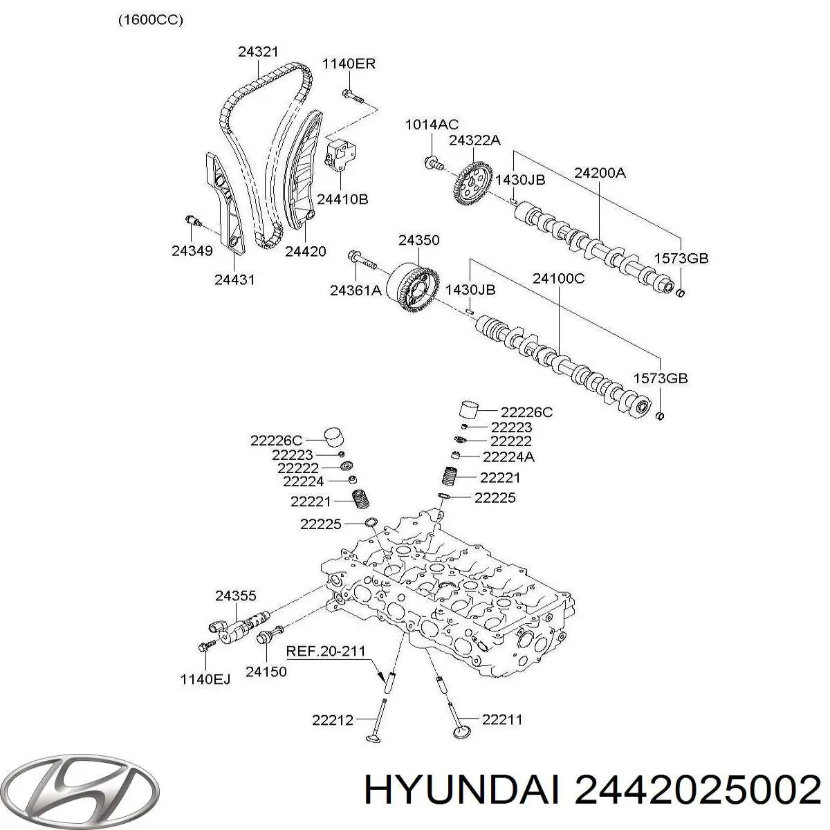 Guía del tensor de la cadena de distribución Hyundai/Kia 2442025002