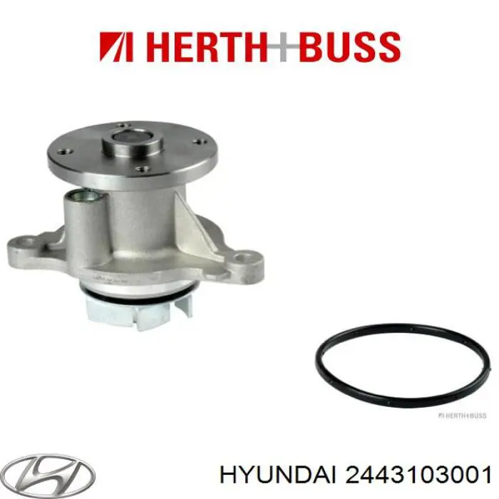 Guía de cadena de distribución Hyundai/Kia 2443103001 precio, desde  