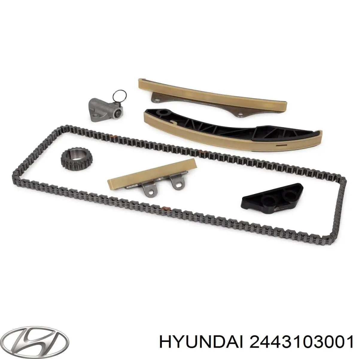2443103001 Hyundai/Kia carril de deslizamiento, cadena de distribución