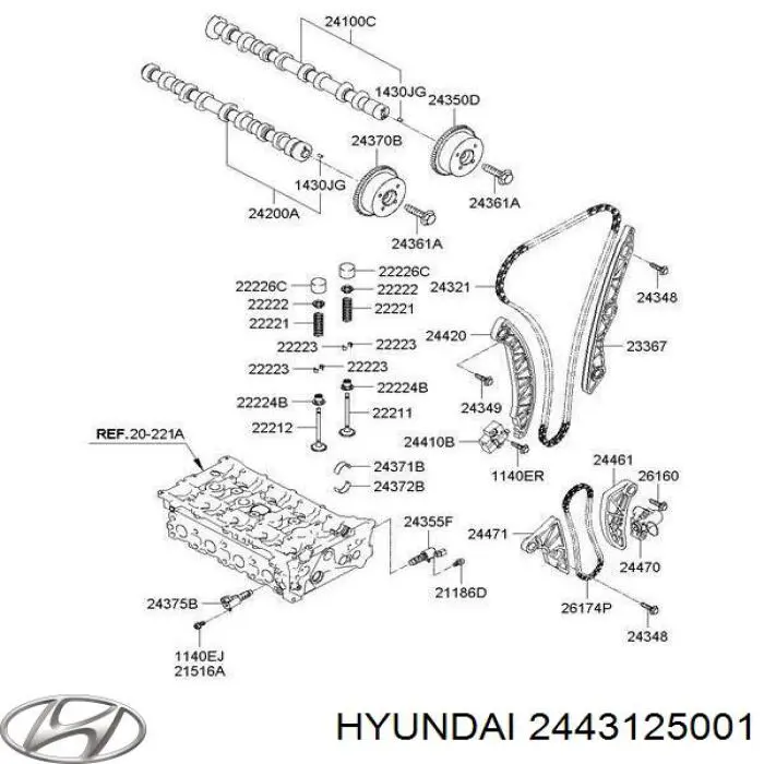 2443125001 Hyundai/Kia carril de deslizamiento, cadena de distribución