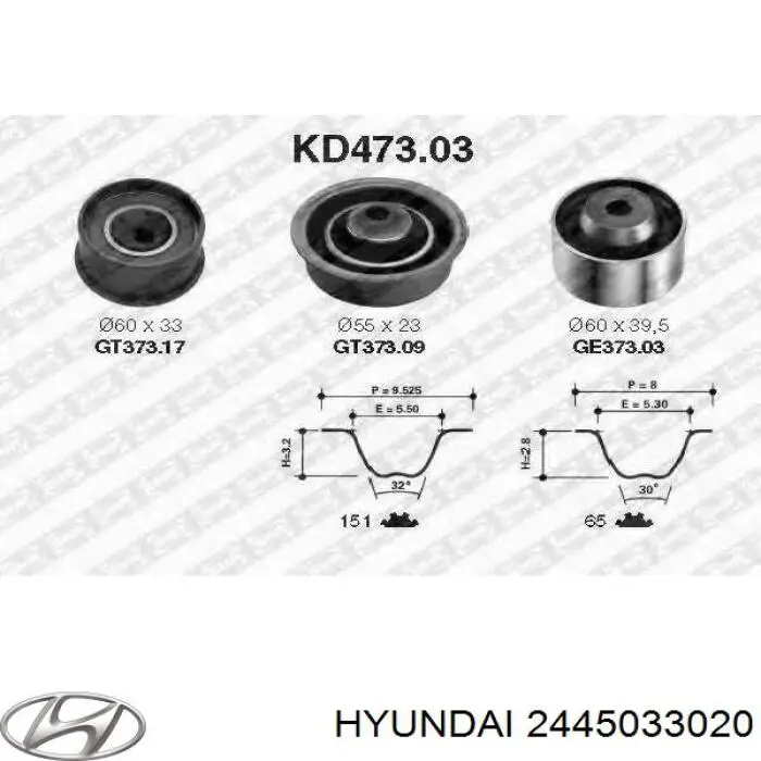 2445033020 Hyundai/Kia rodillo, cadena de distribución