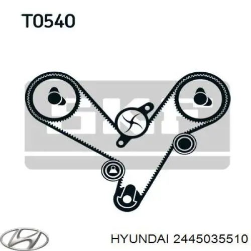 2445035510 Hyundai/Kia rodillo, cadena de distribución