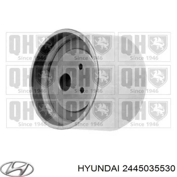 2445035530 HYUNDAI/KIA Tensor correa distribución