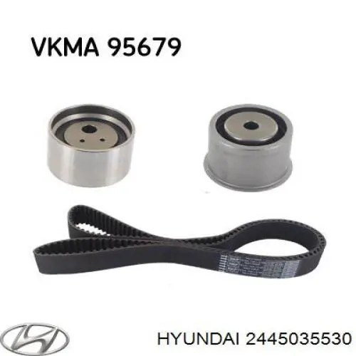 2445035530 Hyundai/Kia rodillo, cadena de distribución