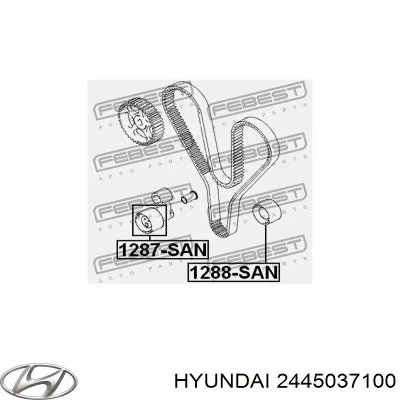 2445037100 Hyundai/Kia tensor correa distribución