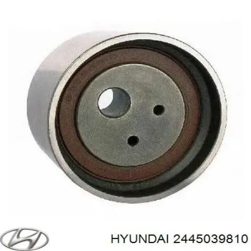 2445039810 Hyundai/Kia rodillo, cadena de distribución