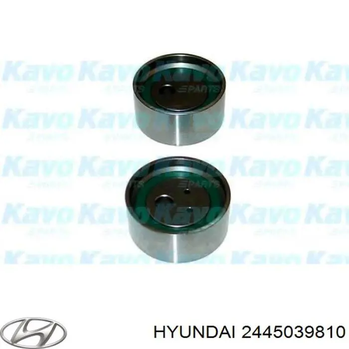 Comprar 2445039810 Hyundai/Kia Tensor correa distribución
