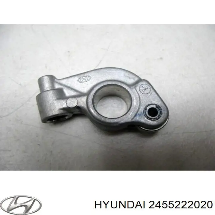 Comprar 2455222020 Hyundai/Kia Palanca oscilante, distribución del motor 