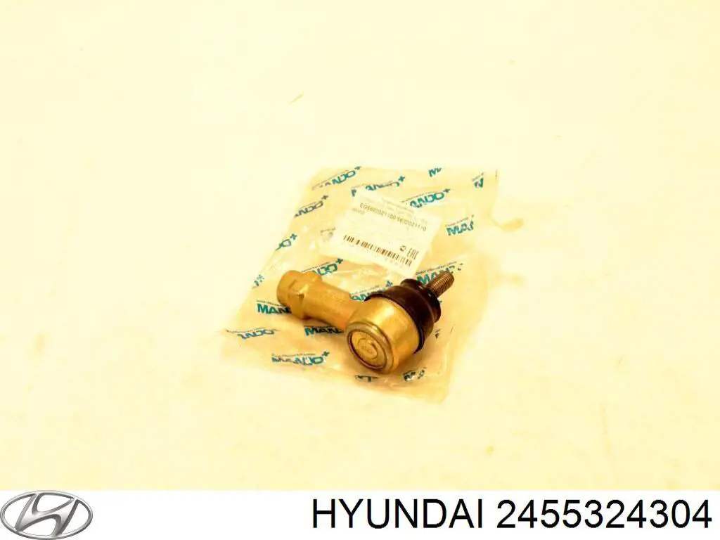 2455324304 Hyundai/Kia