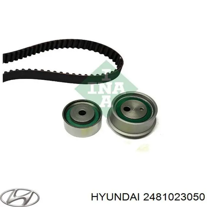 Comprar 2481023050 Hyundai/Kia Polea correa distribución