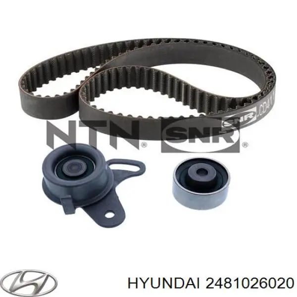 2481026020 Hyundai/Kia Polea tensora intermedio de correa dentada