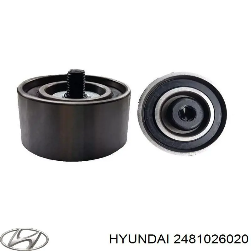 Comprar 2481026020 Hyundai/Kia Polea correa distribución