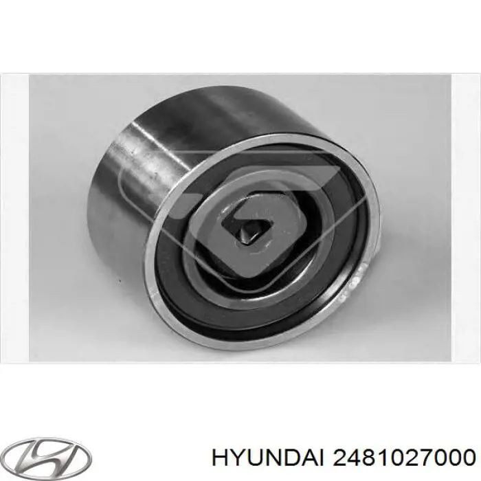 Comprar 2481027000 Hyundai/Kia Polea correa distribución