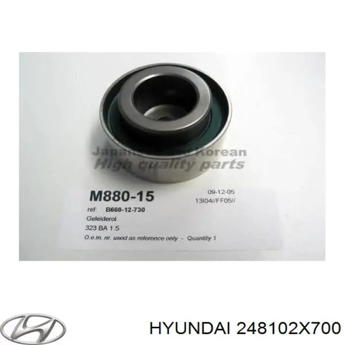 Rodillo intermedio de correa dentada Hyundai/Kia 248102X700