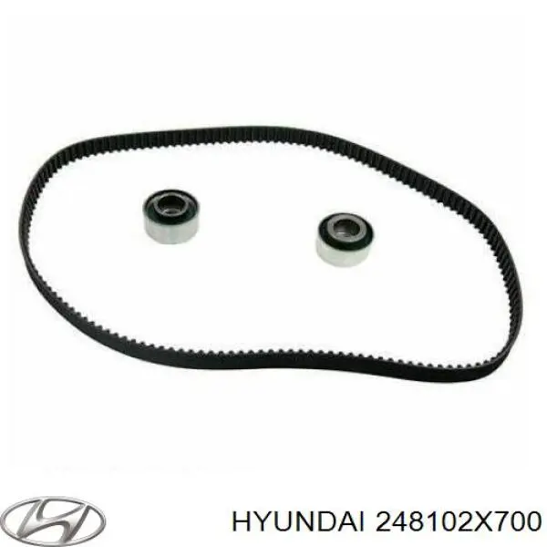 248102X700 Hyundai/Kia Polea tensora intermedio de correa dentada