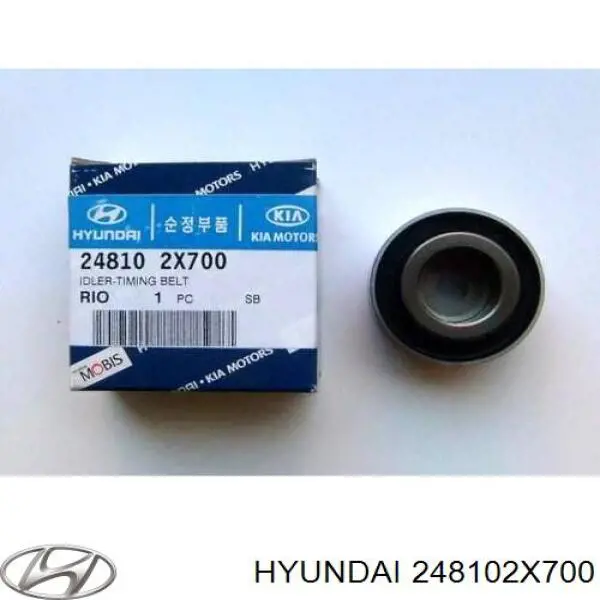 248102X700 Hyundai/Kia polea correa distribución