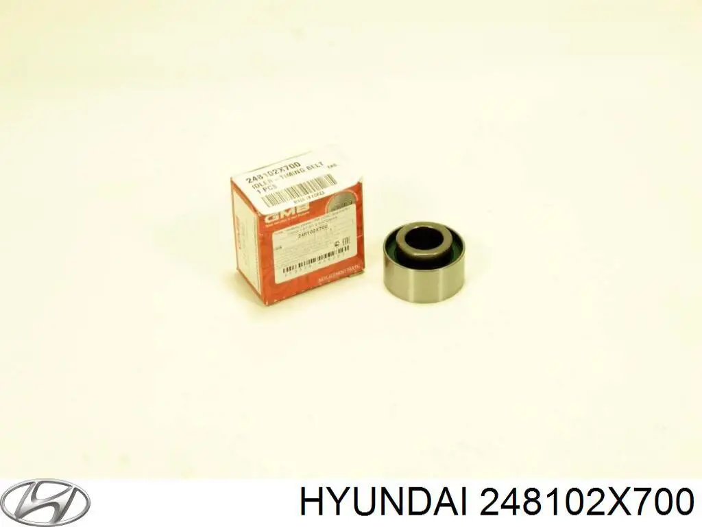 Comprar 248102X700 Hyundai/Kia Polea correa distribución