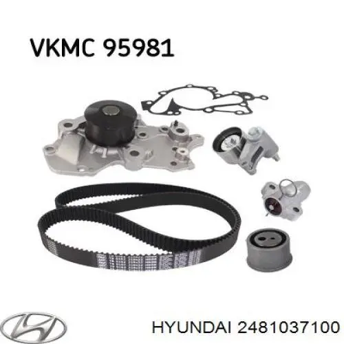 2481037100 Hyundai/Kia polea correa distribución