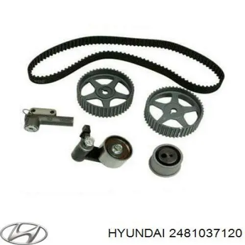 Polea correa distribución Hyundai/Kia 2481037120 precio, desde 19,42 EUR