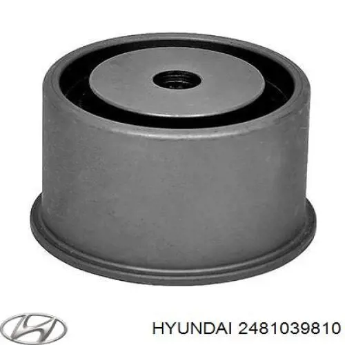 2481039810 Hyundai/Kia rodillo intermedio de correa dentada