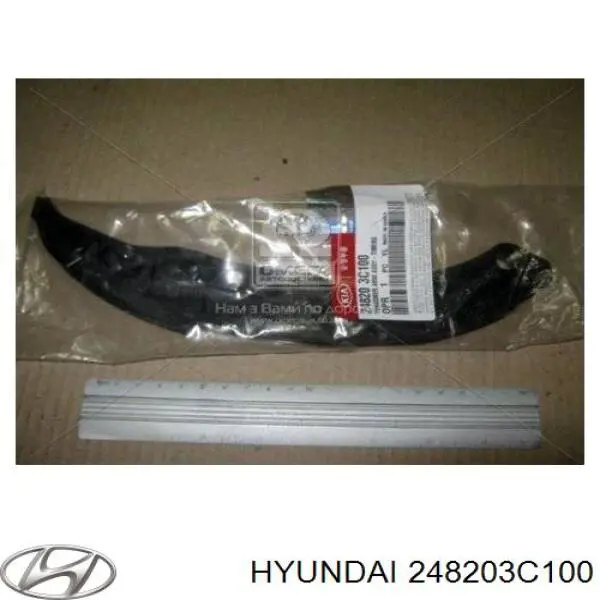 248203C100 Hyundai/Kia zapata cadena de distribuicion