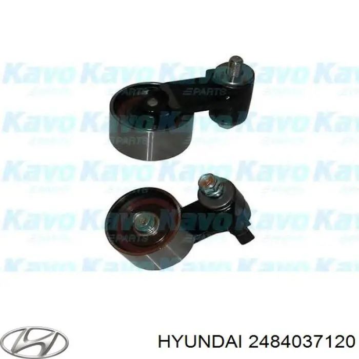 2484037120 Hyundai/Kia tensor de la correa de distribución