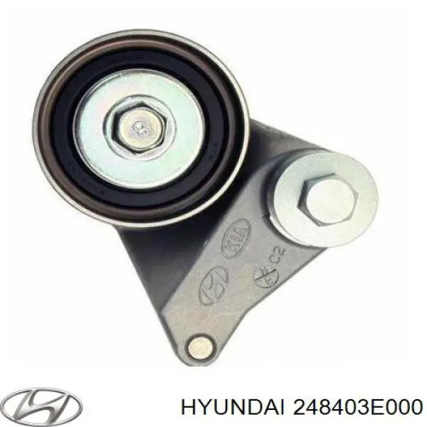 248403E000 Hyundai/Kia rodillo, cadena de distribución