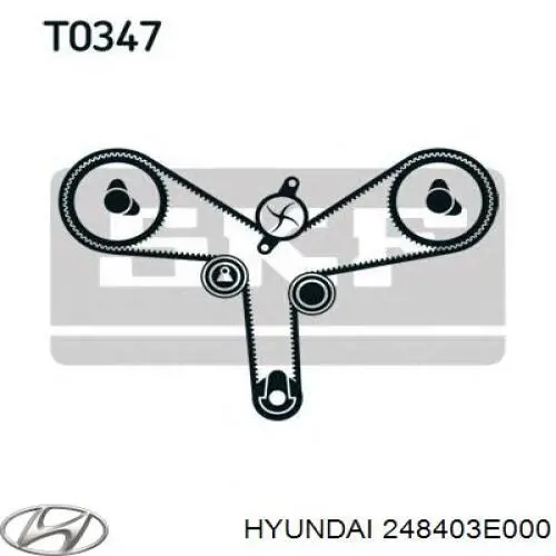 Tensor de la correa de distribución Hyundai/Kia 248403E000 precio, desde 34,04 EUR