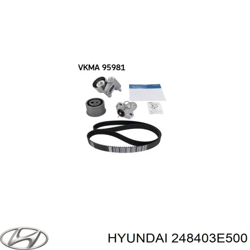 Rodillo tensor cadena Hyundai/Kia 248403E500