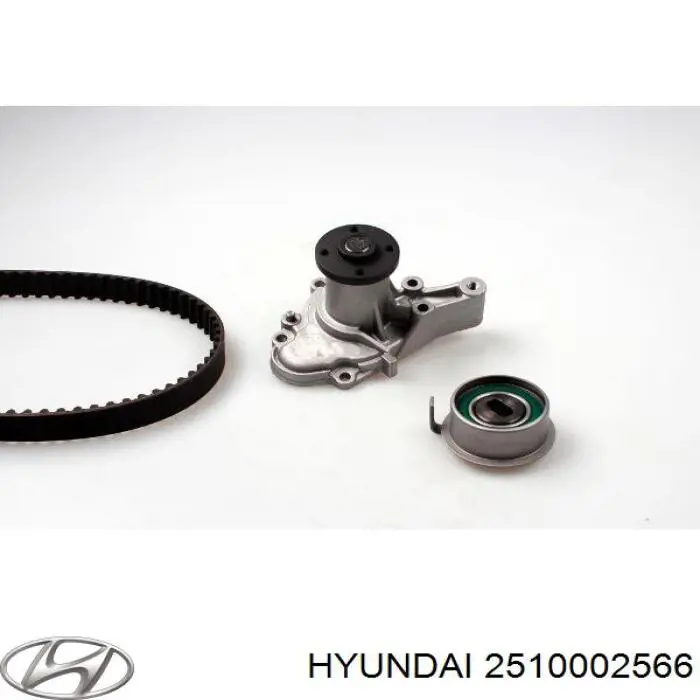 2510002566 Hyundai/Kia bomba de agua