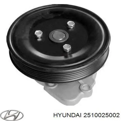 Bomba de agua de refrigeración con carcasa 2510025002 Hyundai/Kia