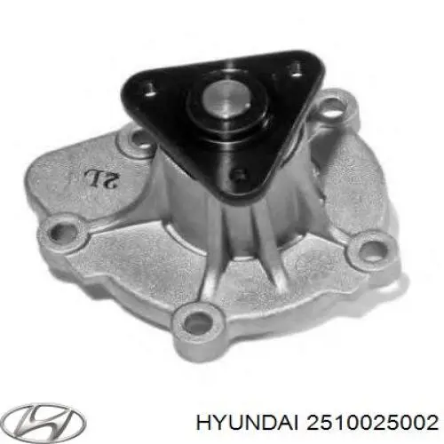 Motor de agua, completo con caja Hyundai/Kia 2510025002