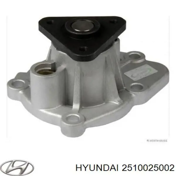 Bomba de agua de refrigeración con carcasa Hyundai/Kia 2510025002 precio, desde 62,01 EUR