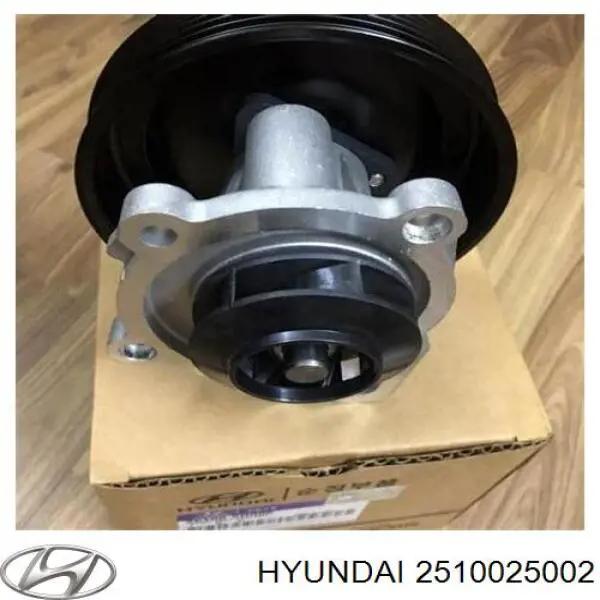 Comprar 2510025002 Hyundai/Kia Bomba de agua de refrigeración con carcasa