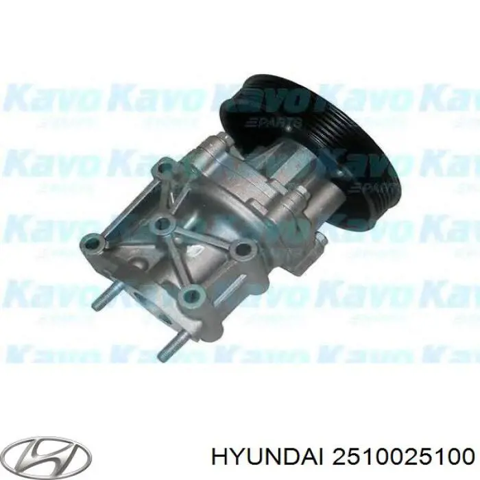 Bomba de agua de refrigeración con carcasa Hyundai/Kia 2510025100 precio, desde 39,57 EUR