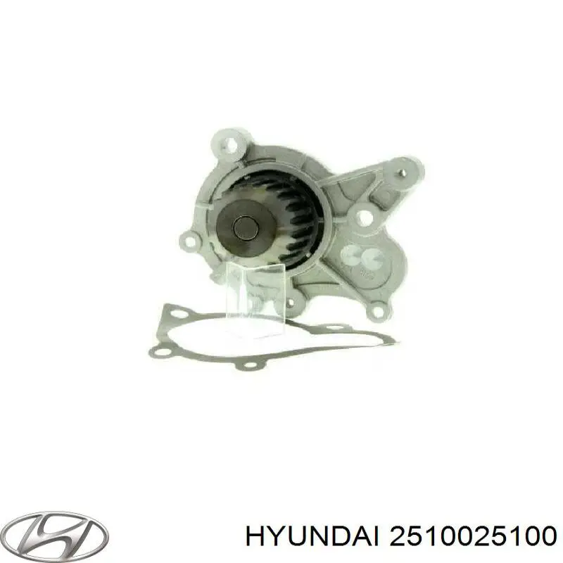 Bomba de agua de refrigeración con carcasa 2510025100 Hyundai/Kia