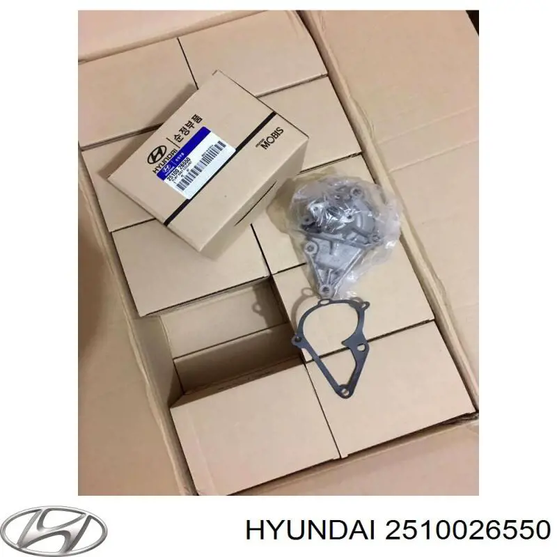 Comprar 2510026550 Hyundai/Kia Bomba de agua para motor