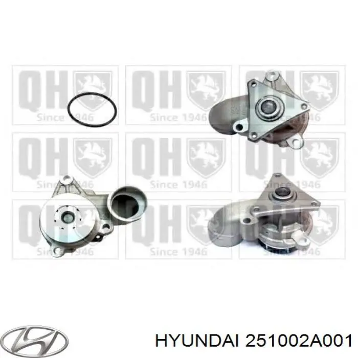 Bombeadora de agua Hyundai/Kia 251002A001 precio, desde 70,71 EUR
