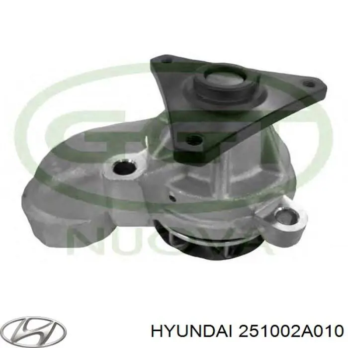 Bombeadora de agua Hyundai/Kia 251002A010 precio, desde 70,71 EUR