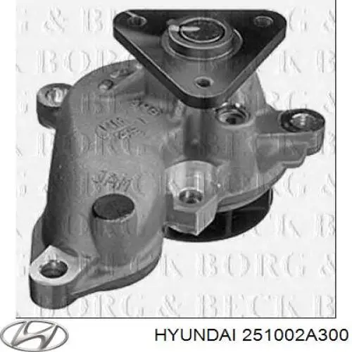 Bombeadora de agua Hyundai/Kia 251002A300 precio, desde 53,12 EUR