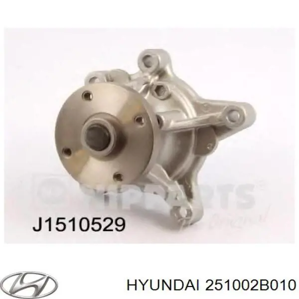 Bombeadora de agua Hyundai/Kia 251002B010 precio, desde 83,26 EUR