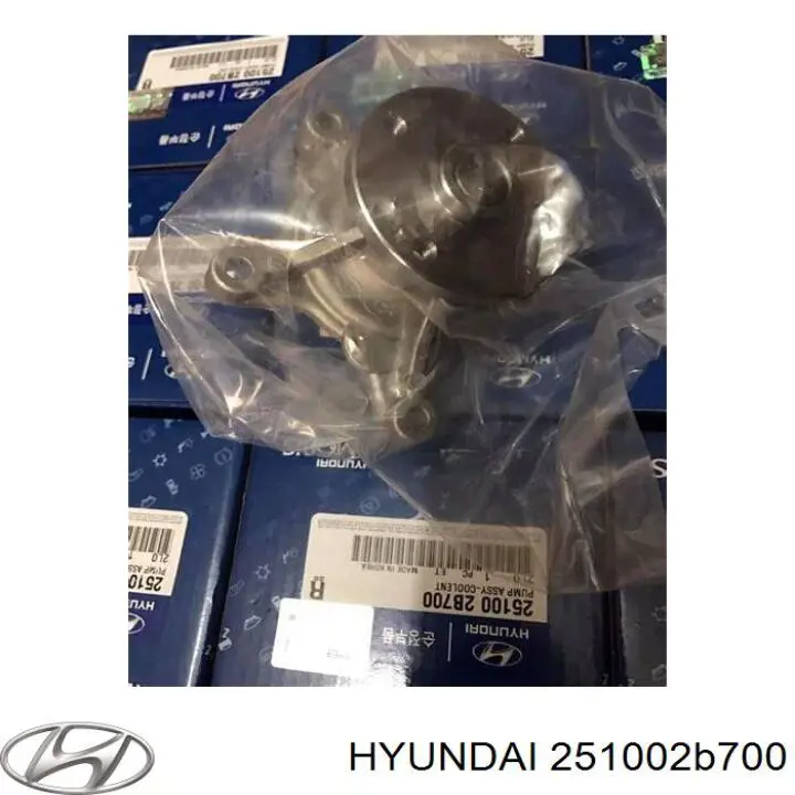 Bomba de agua HYUNDAI 251002B700