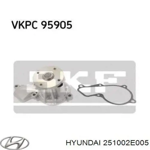 Bombeadora de agua Hyundai/Kia 251002E005 precio, desde 50,94 EUR