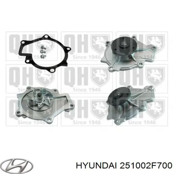 Motor de agua Hyundai/Kia 251002F700