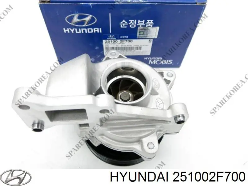 Bomba de agua 251002F700 Hyundai/Kia