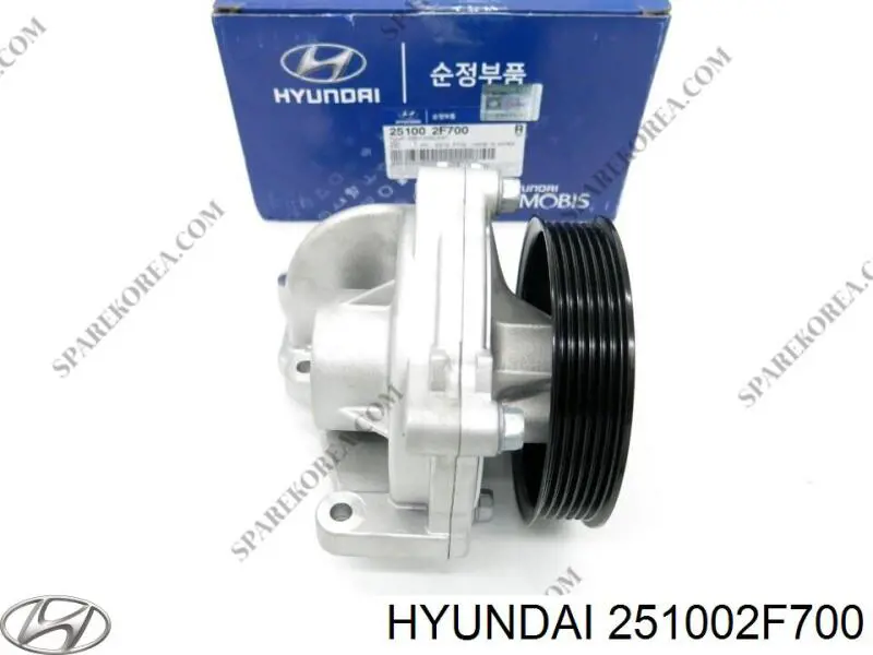 251002F700 Hyundai/Kia Bomba refrigerante coche