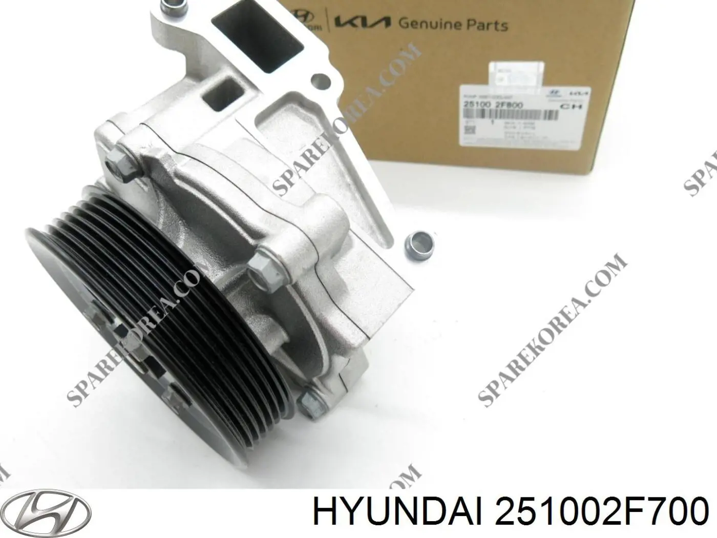 Bombeadora de agua Hyundai/Kia 251002F700 precio, desde 46,71 EUR