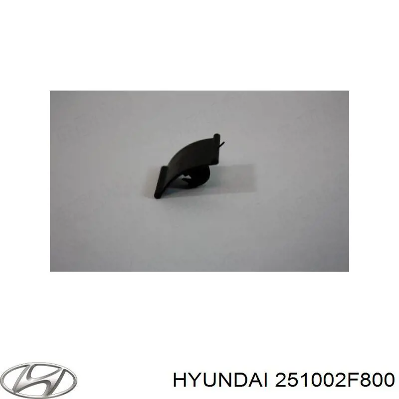 Bombeadora de agua Hyundai/Kia 251002F800 precio, desde 46,71 EUR