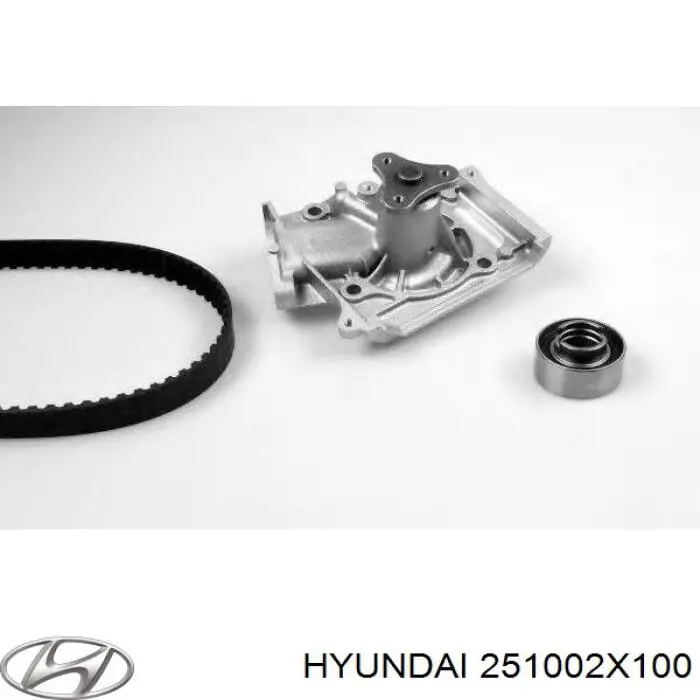 Bomba de agua 251002X100 Hyundai/Kia